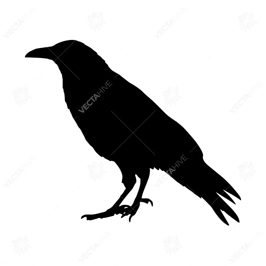 Black Crow Silhouette Vector