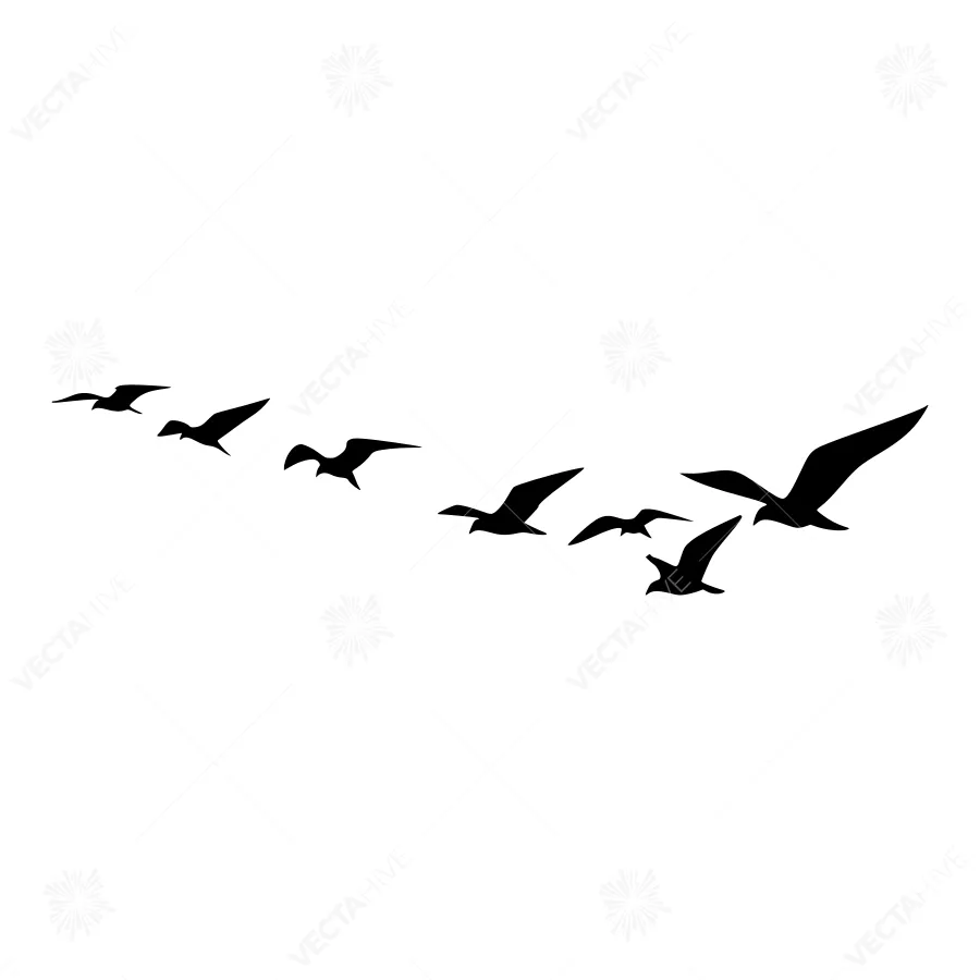 Silhouette Flock of Birds Flying
