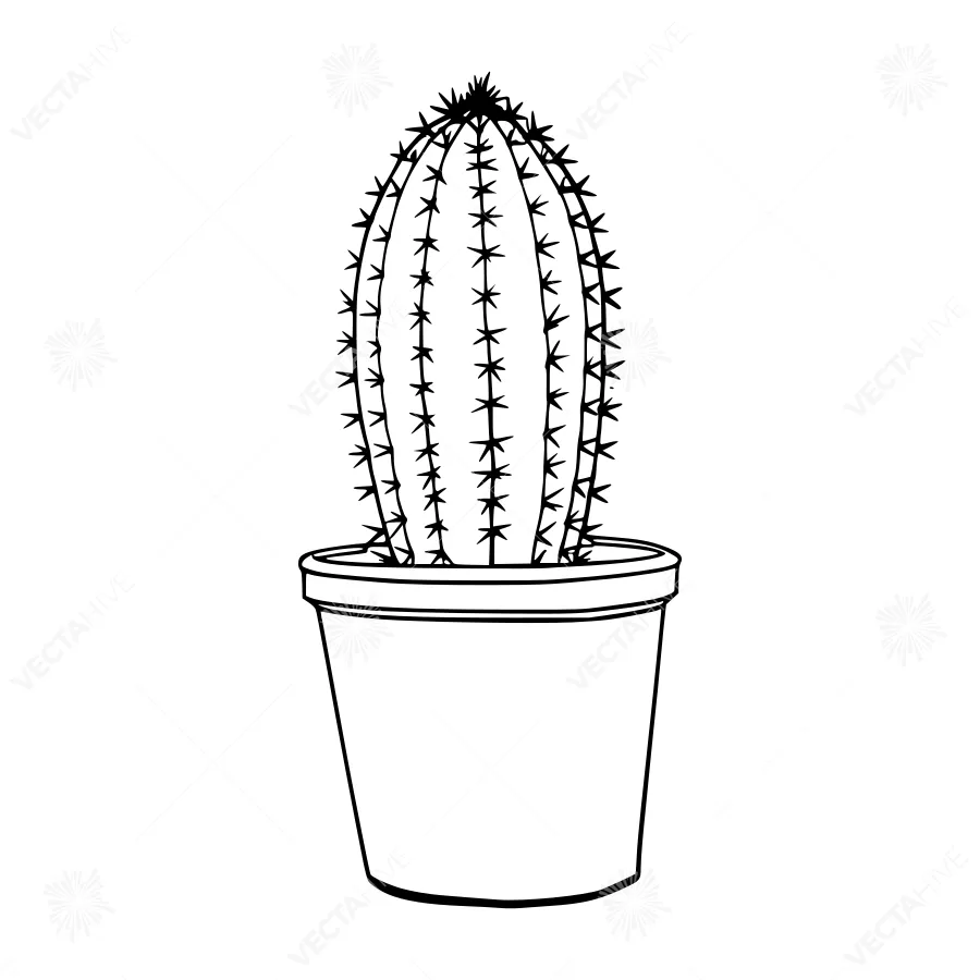 Black Line Cactus in Pot Illustration