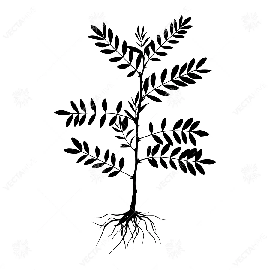 Silhouetted Tree with Roots - Minimalist Plant Illustration