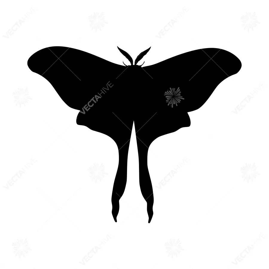 Black Butterfly Silhouette - Minimalist Design