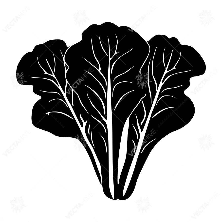 Black Cabbage Silhouette Vector Illustration