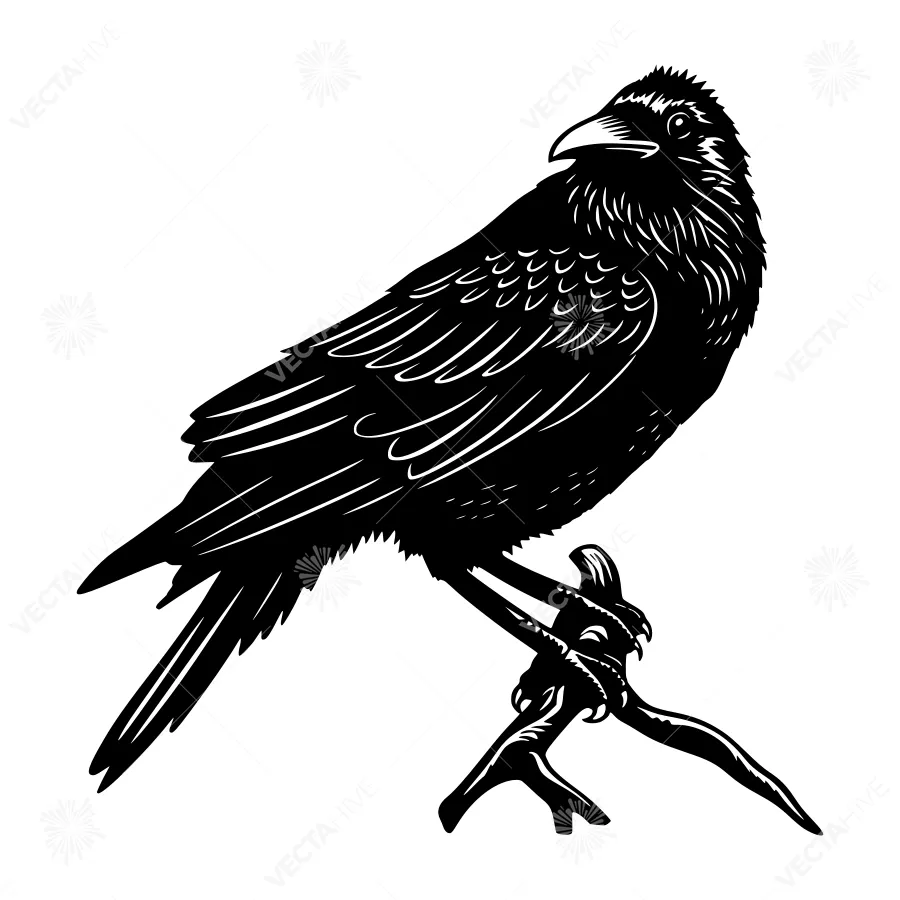 Black Bird Silhouette Vector Illustration