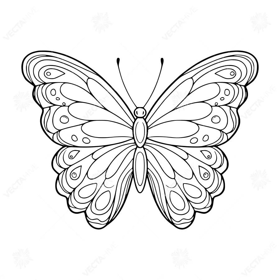 Butterfly Outline Illustration - Black & White