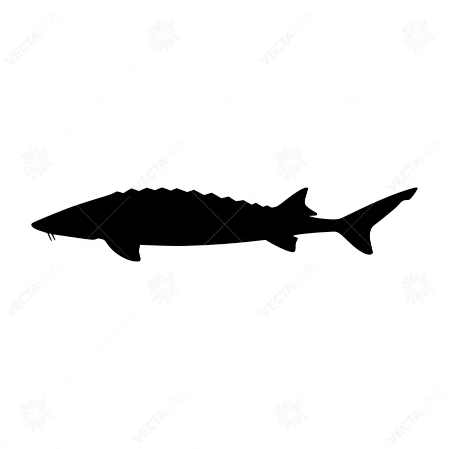 Black Sturgeon Silhouette Vector Graphic