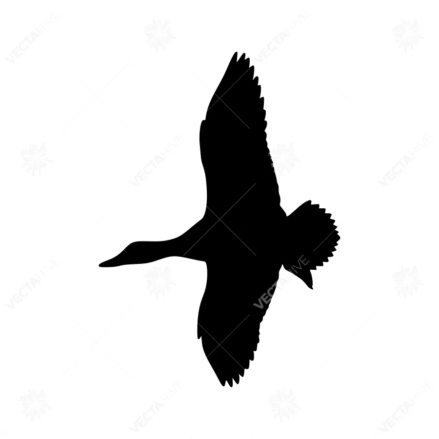 Black Swan Silhouette Flying