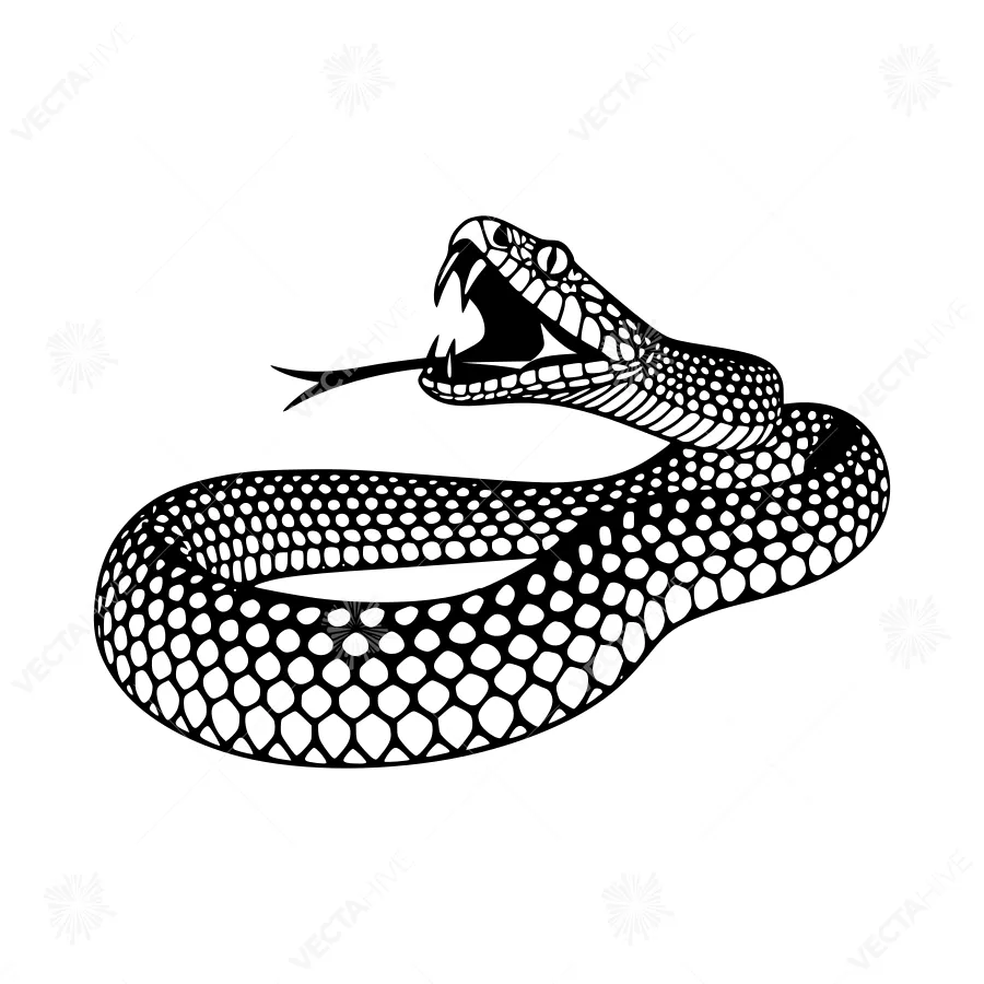 Black Silhouette Snake Illustration