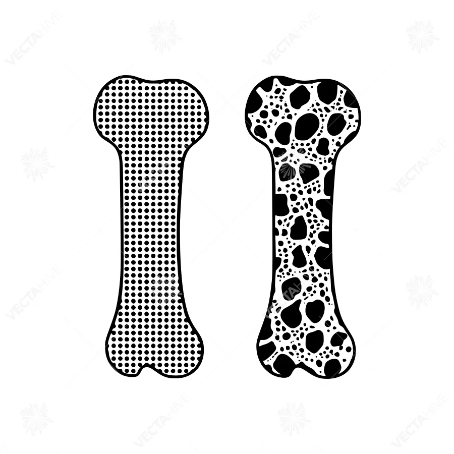 Vector Bone Illustrations - Dot Pattern & Texture