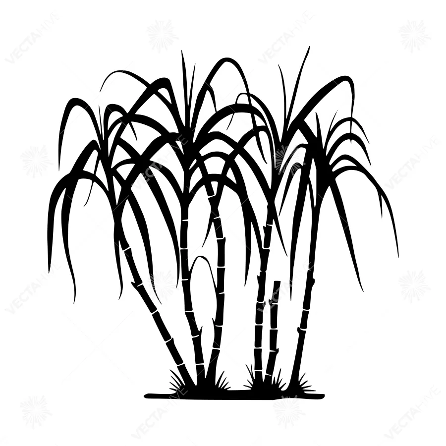 Black Silhouette Palm Trees Tropical Vector
