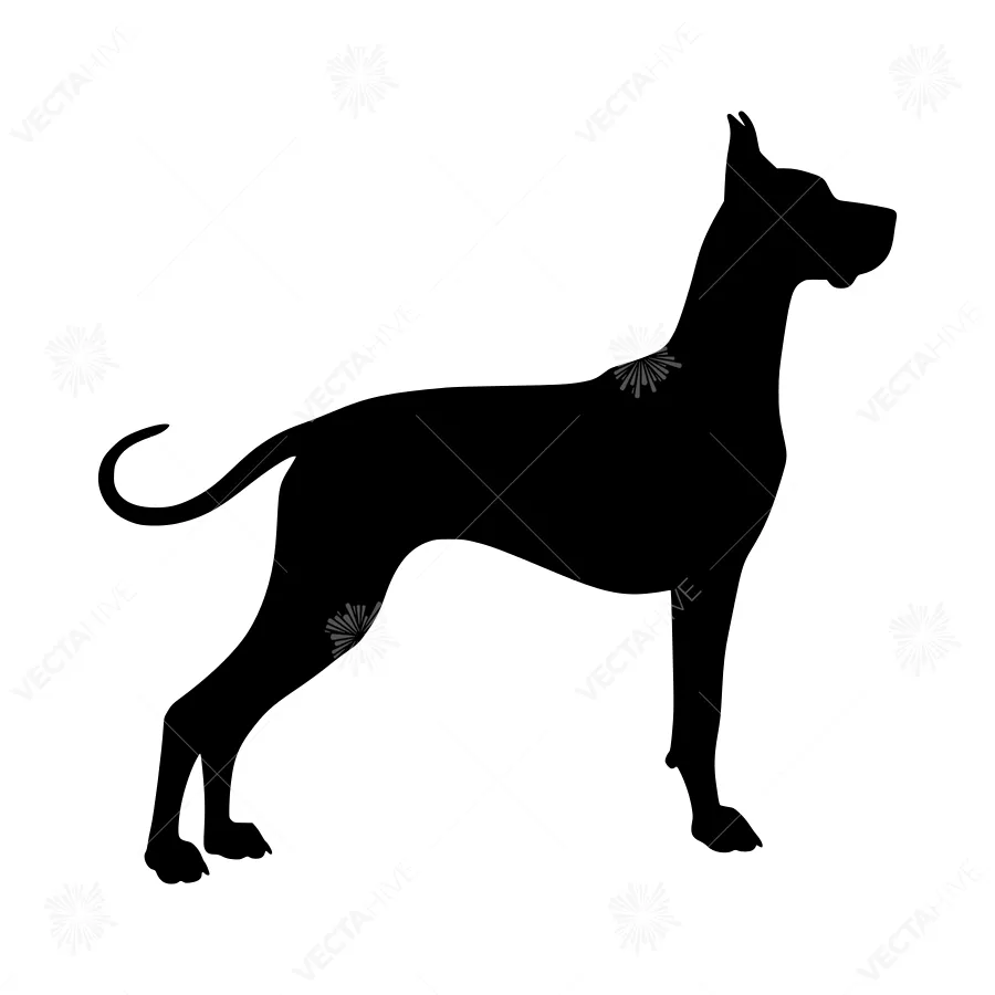 Great Dane Silhouette Vector Illustration
