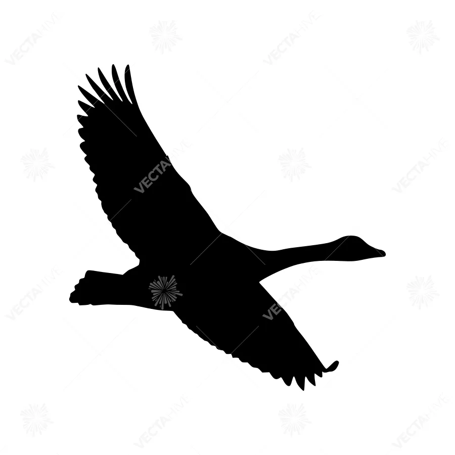 Black Swan Silhouette Flying