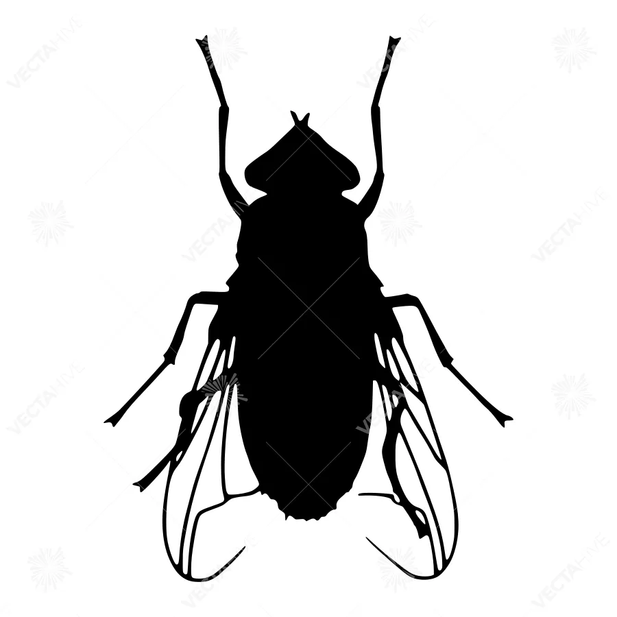 Black Fly Silhouette Vector Illustration
