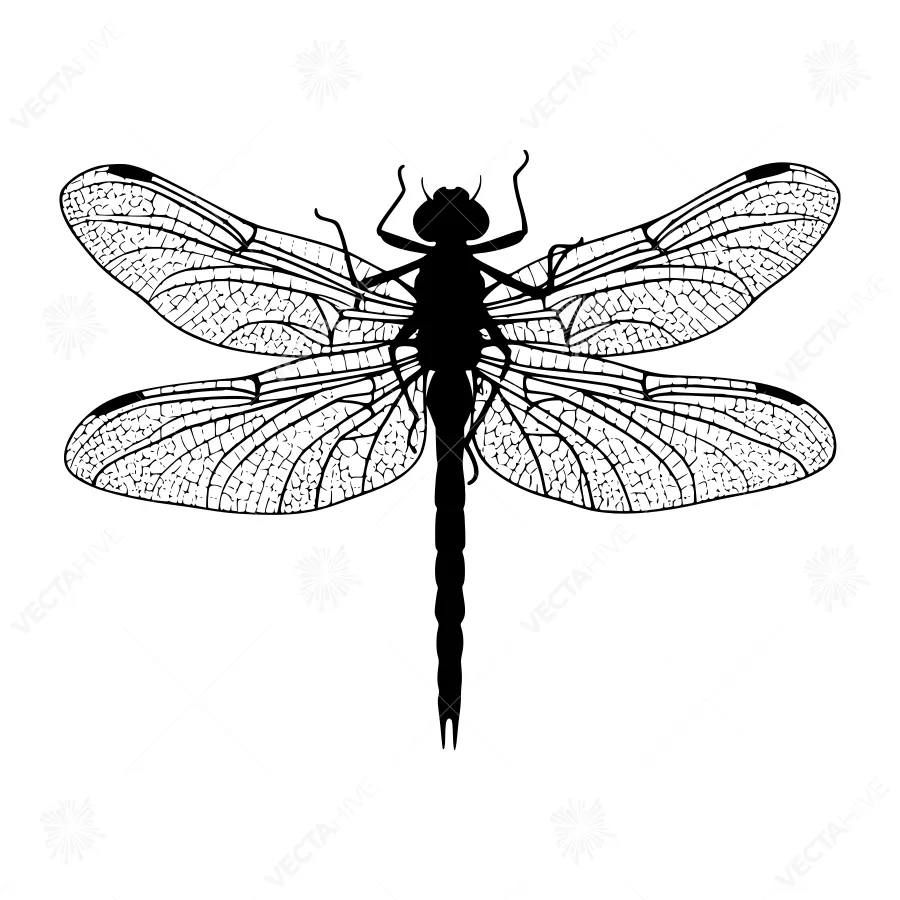 Dragonfly Silhouette - Black on White