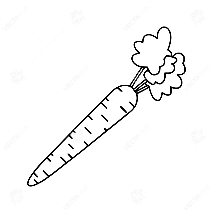 Cartoon Carrot Illustration - Line Art