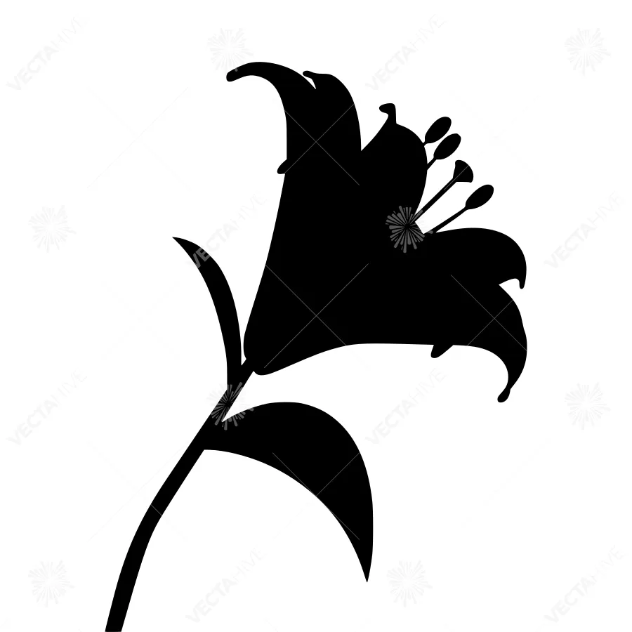 Black Lily Silhouette Vector Illustration