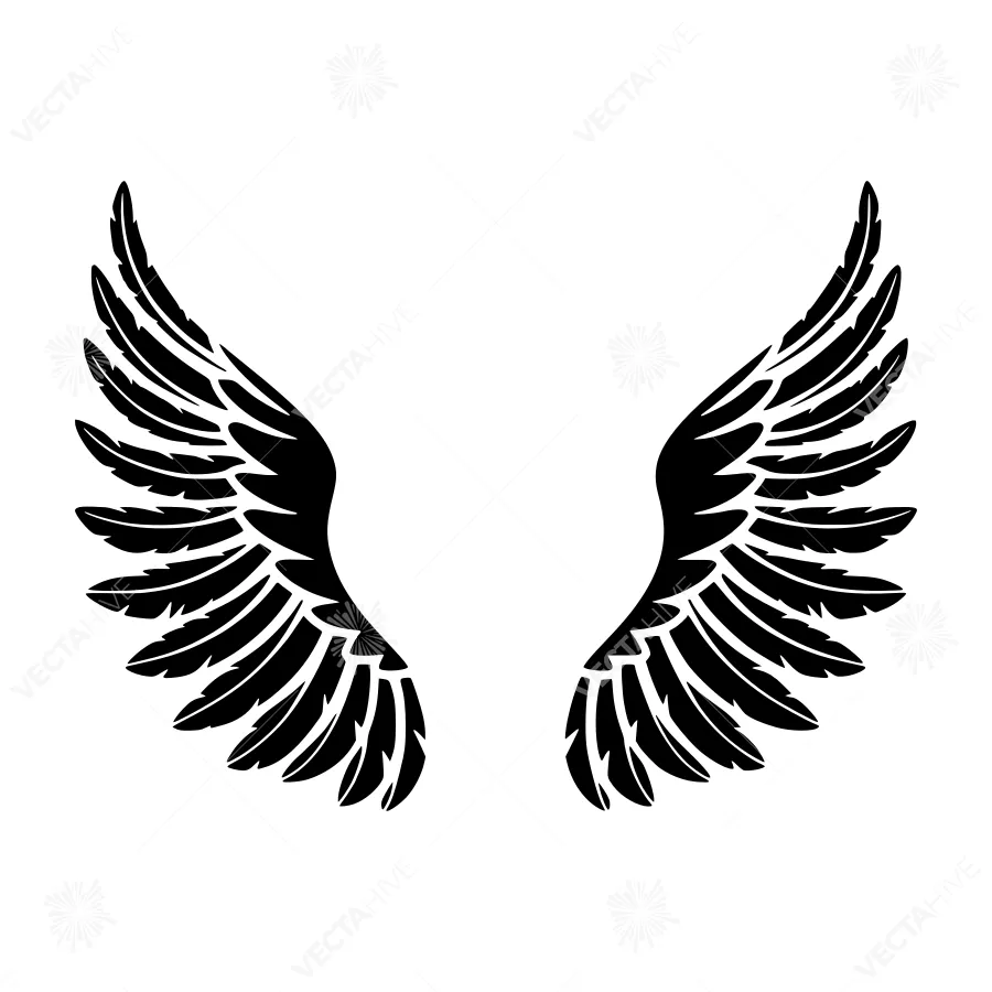 Black Wings Silhouette - Minimalist Design