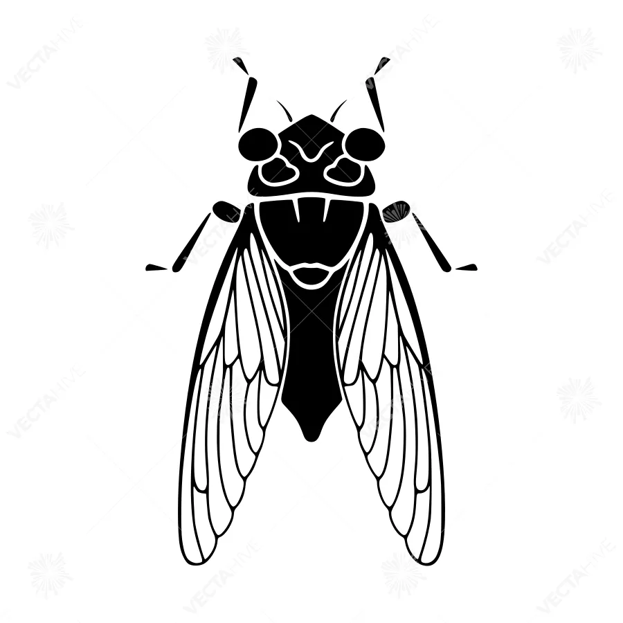 Black Silhouette Cicada Insect Vector Illustration