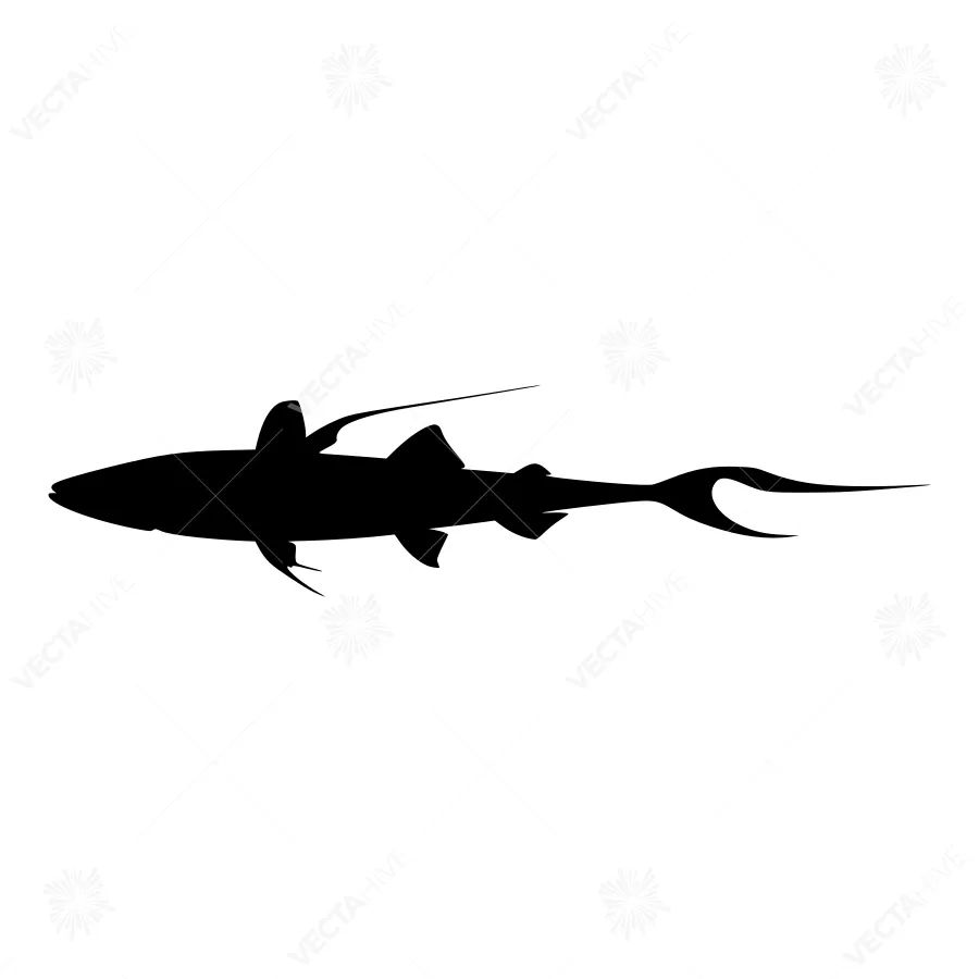 Shark Silhouette Vector Graphic