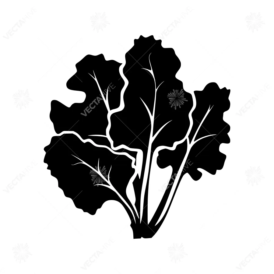 Black Leafy Vegetable Silhouette