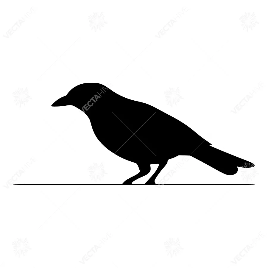Silhouette Bird Graphic - Black Feather Illustration