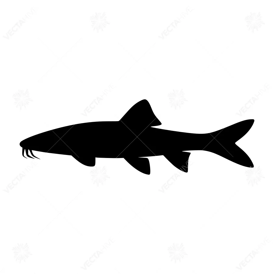 Catfish Silhouette Vector Illustration