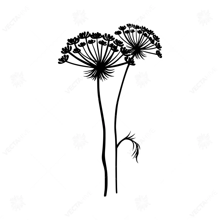 Black Anemone Flower Illustration - Minimalist Design
