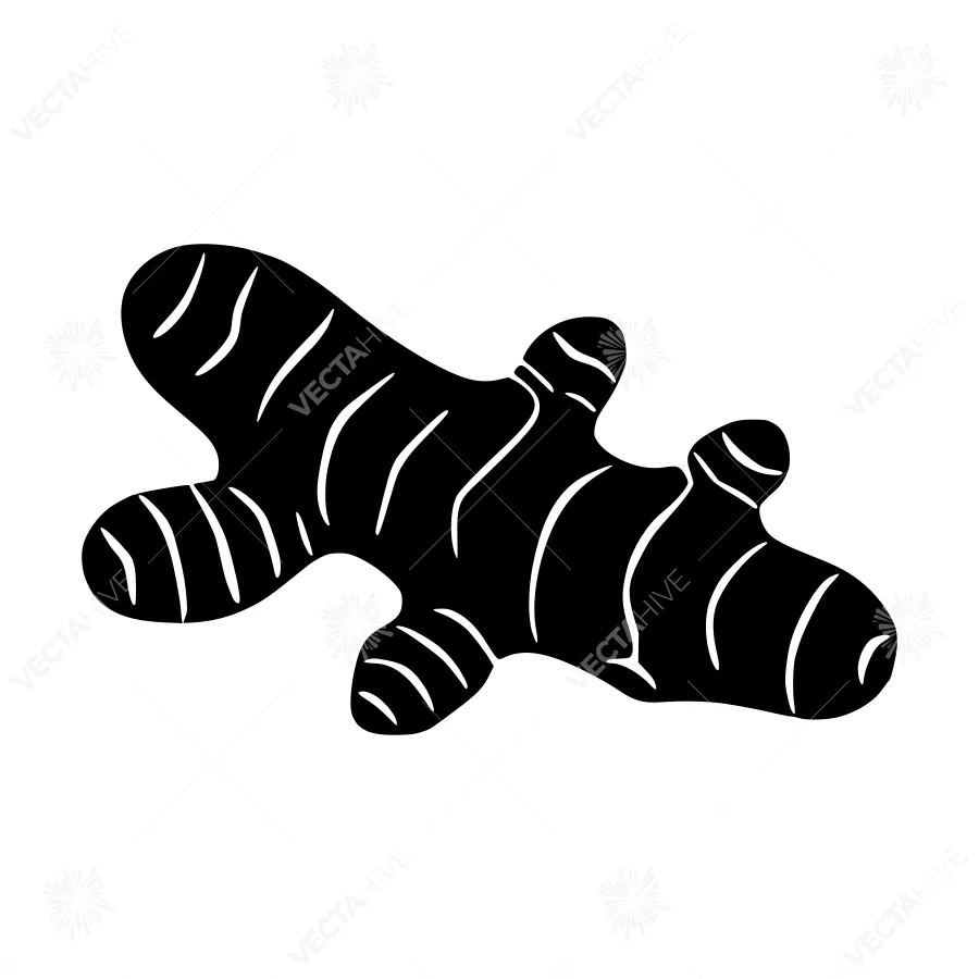 Black Ginger Root Silhouette Vector Illustration