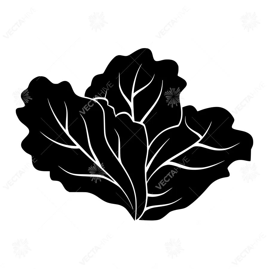 Black Cabbage Leaf Silhouette Vector