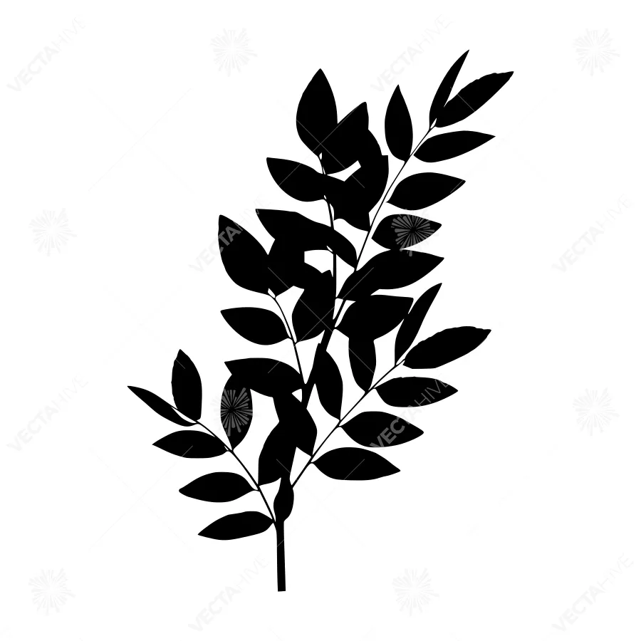 Black Leaf Silhouette on White Background