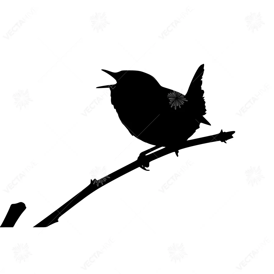 Silhouette Wren Bird on Branch