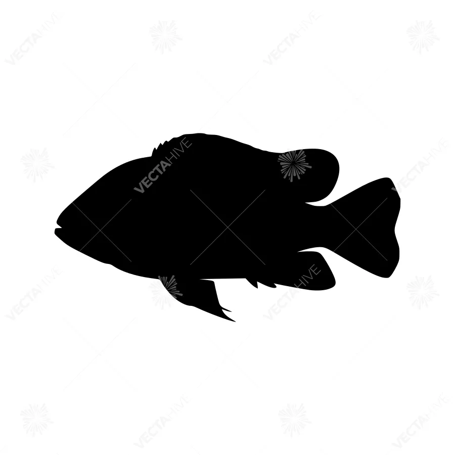 Black Silhouette Fish Vector Graphic