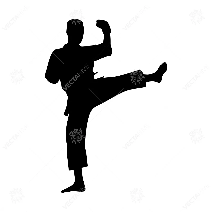 Silhouette Martial Arts Kick