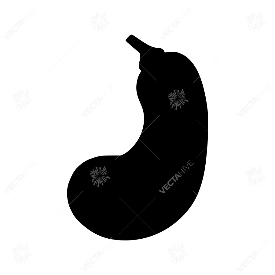 Stomach Silhouette Icon - Black on White