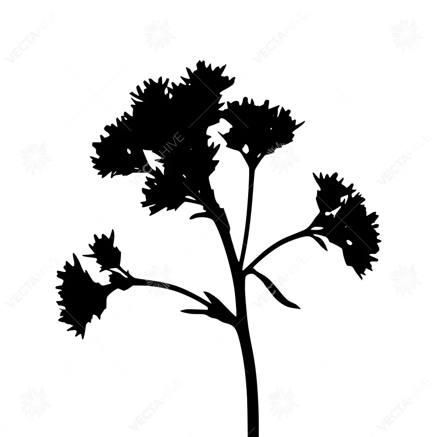 Black Floral Silhouette on White Background