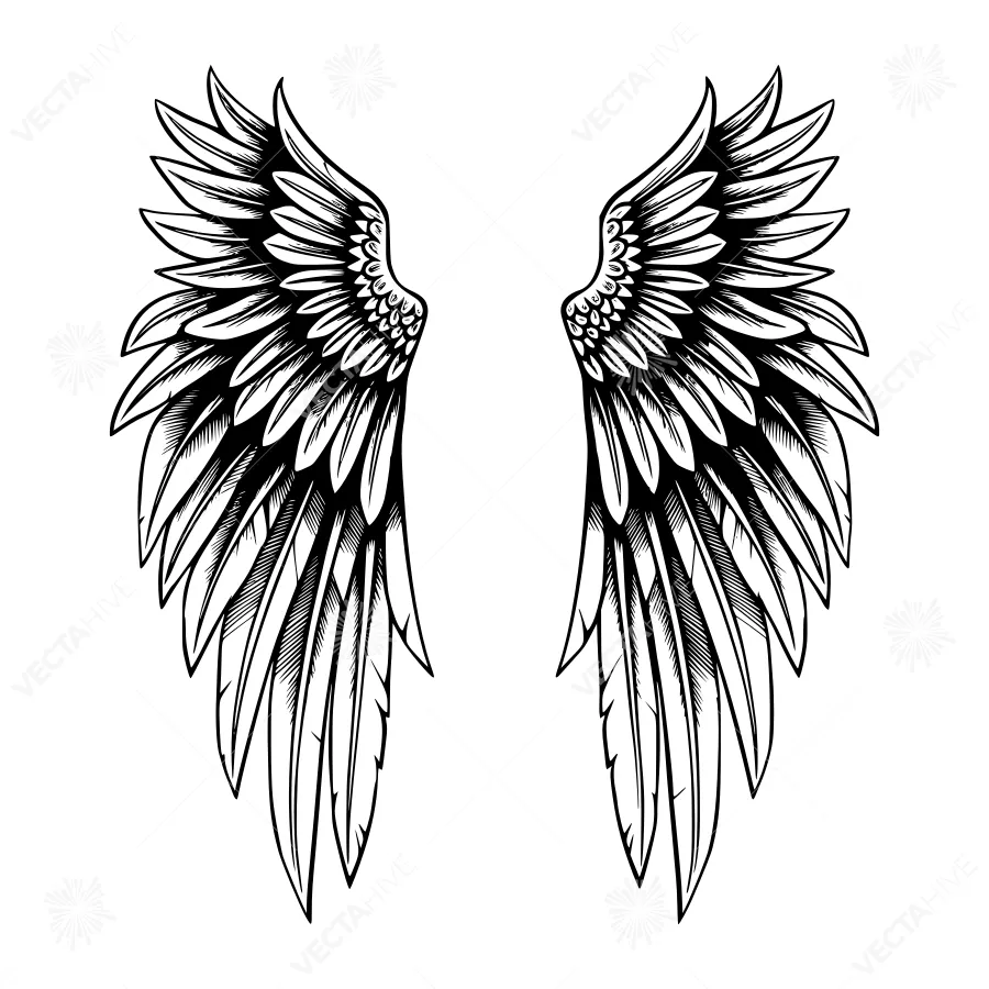 Black & White Angel Wings Illustration