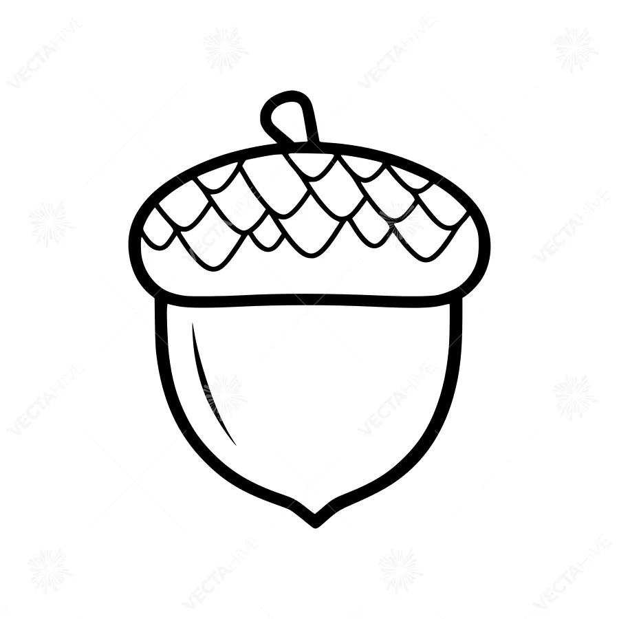 Black & White Line Art Acorn
