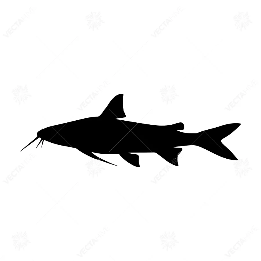 Catfish Silhouette Vector Illustration