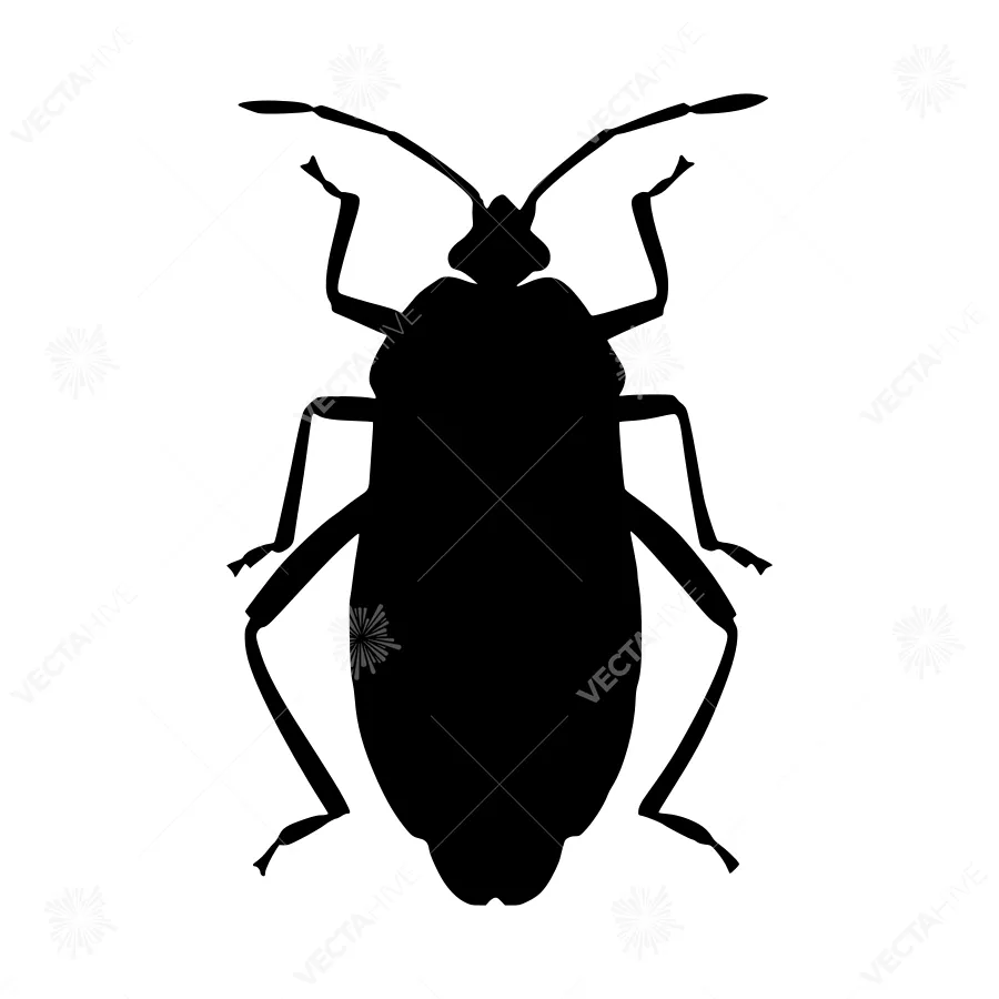 Black Silhouette Bug Vector Illustration