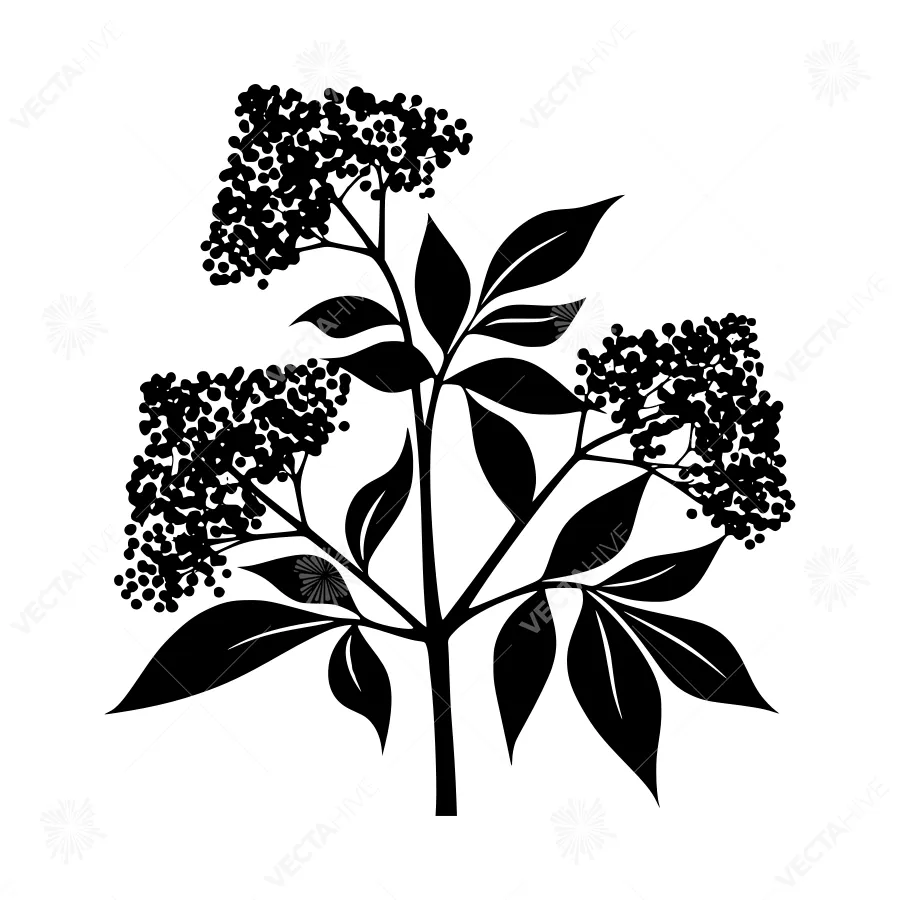 Black Berry Branch Silhouette