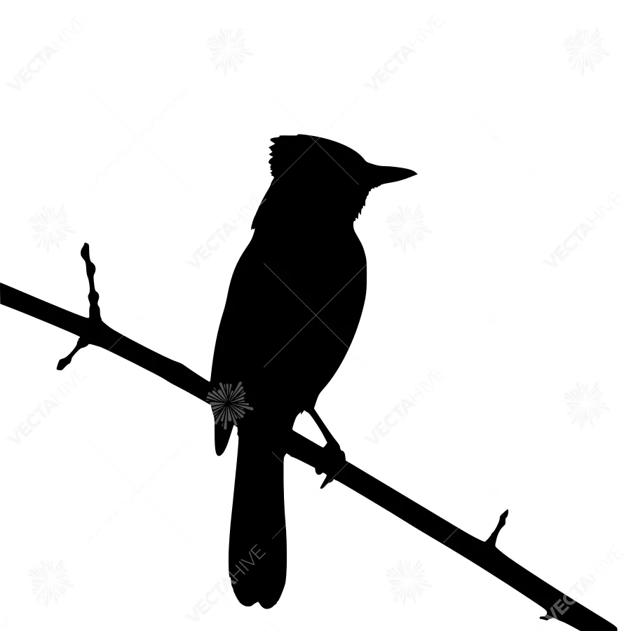 Silhouette Bird on Branch - Black Outline Vector