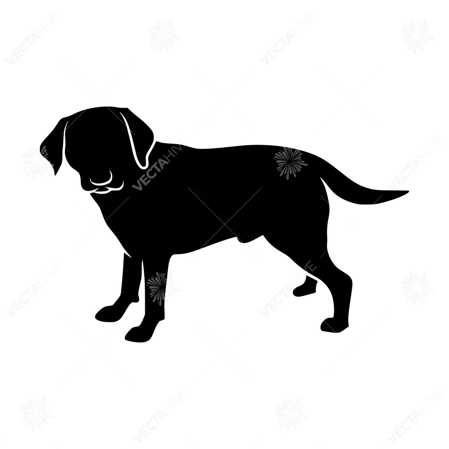 Silhouette Labrador Retriever Dog