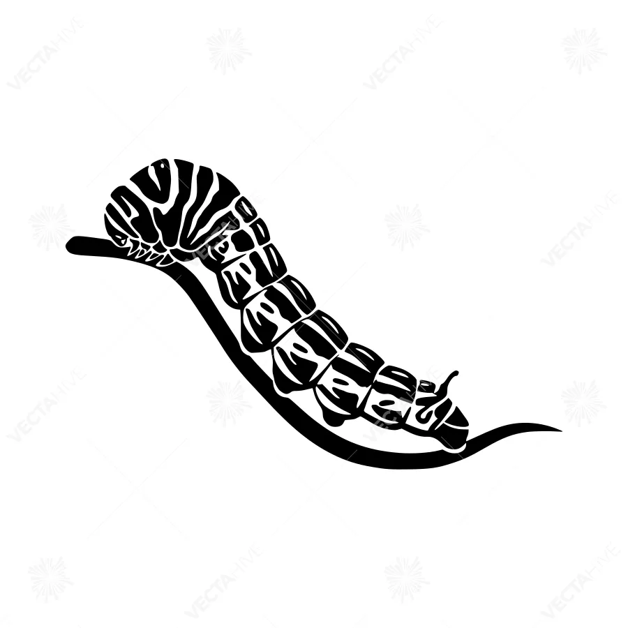Black Caterpillar Silhouette on White Background