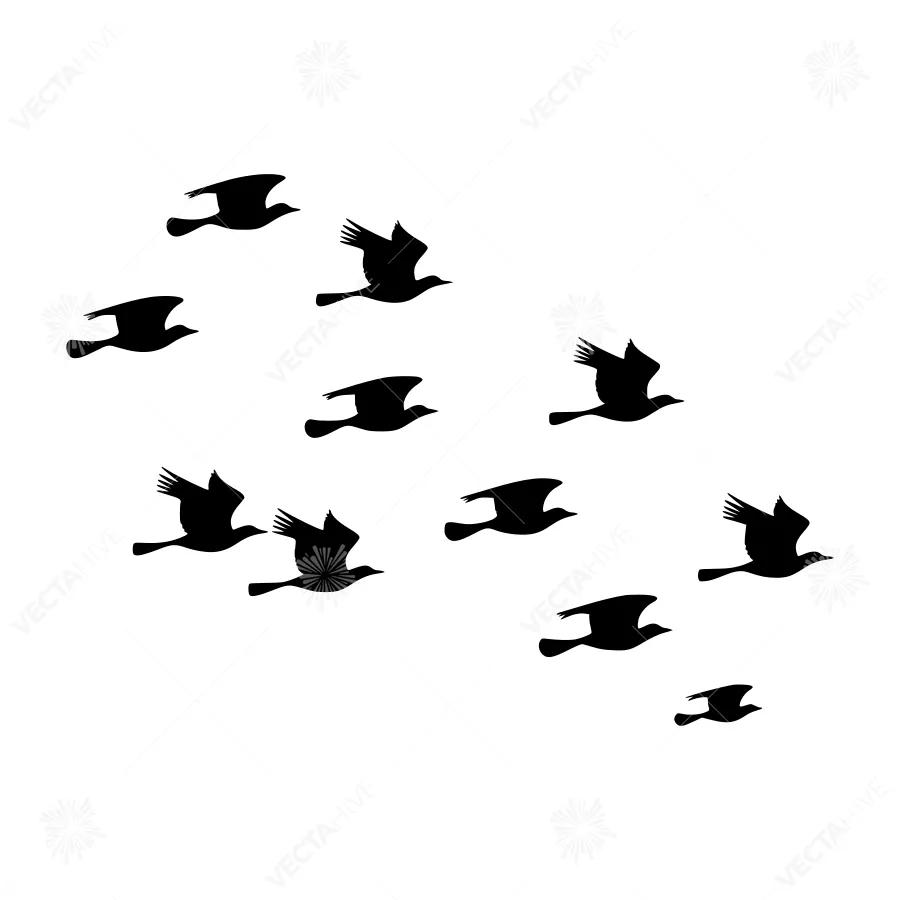 Silhouette Flock of Birds - Minimalist Design
