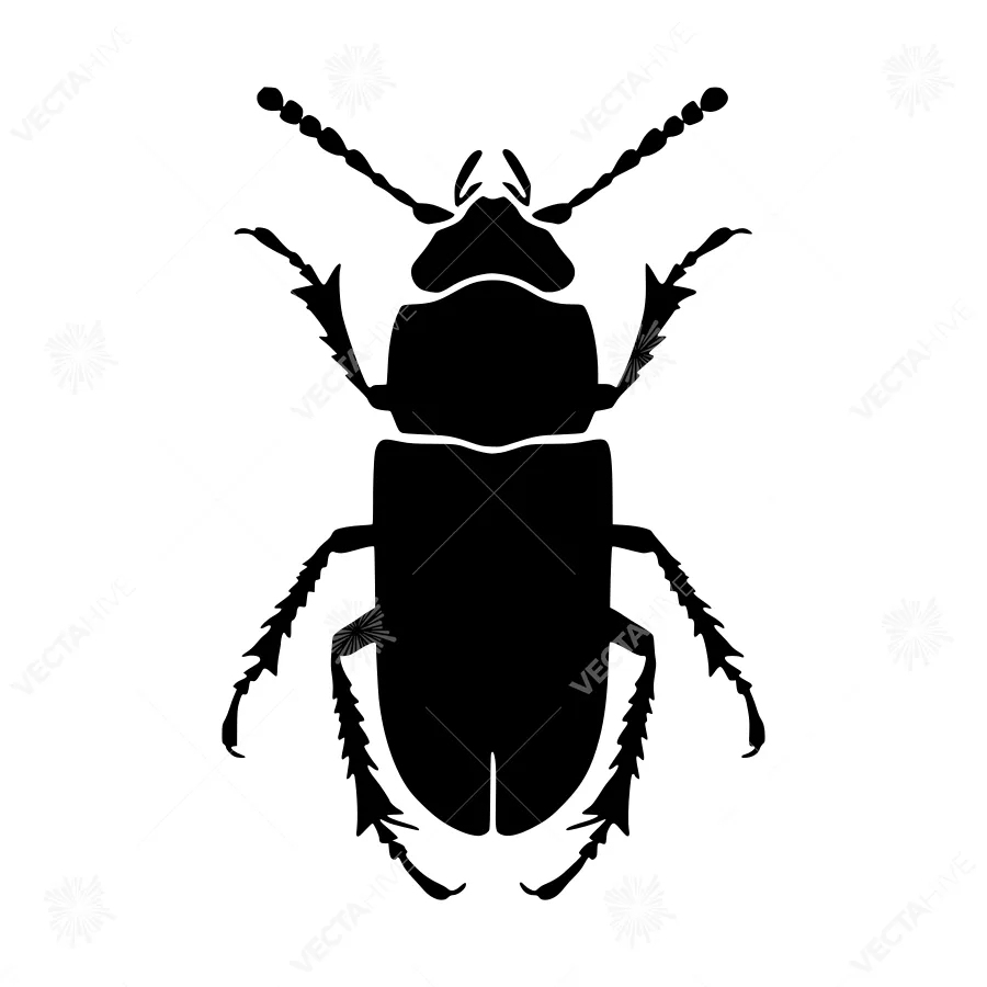 Black Beetle Silhouette Vector Icon