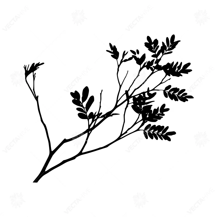 Black Branch Silhouette on White Background