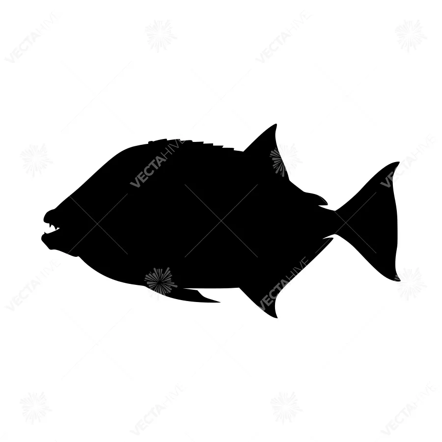 Silhouette Fish Vector Graphic