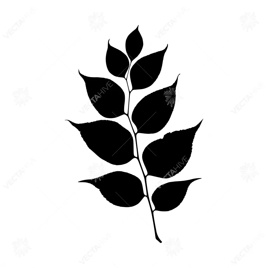 Black Leaf Silhouette on White Background