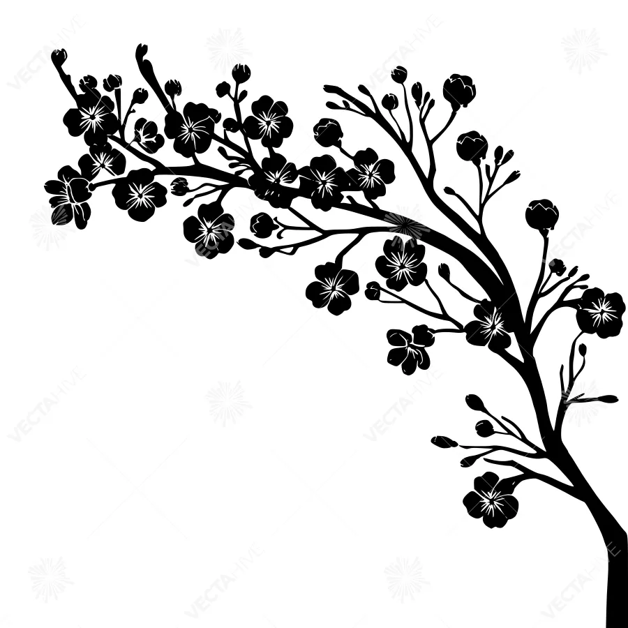 Black Cherry Blossom Branch Silhouette