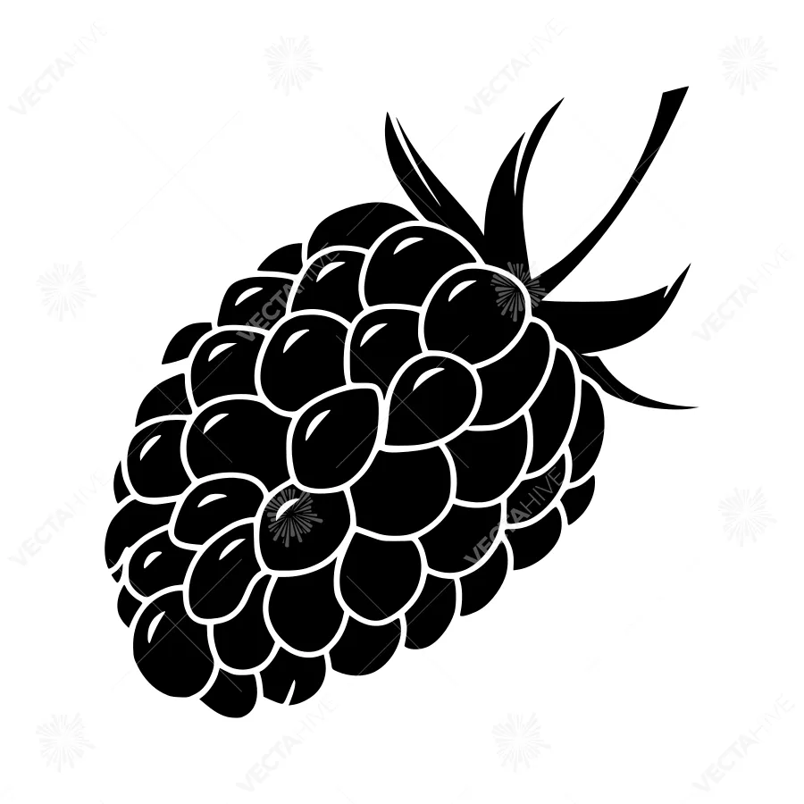 Black Blackberry Silhouette Vector Illustration