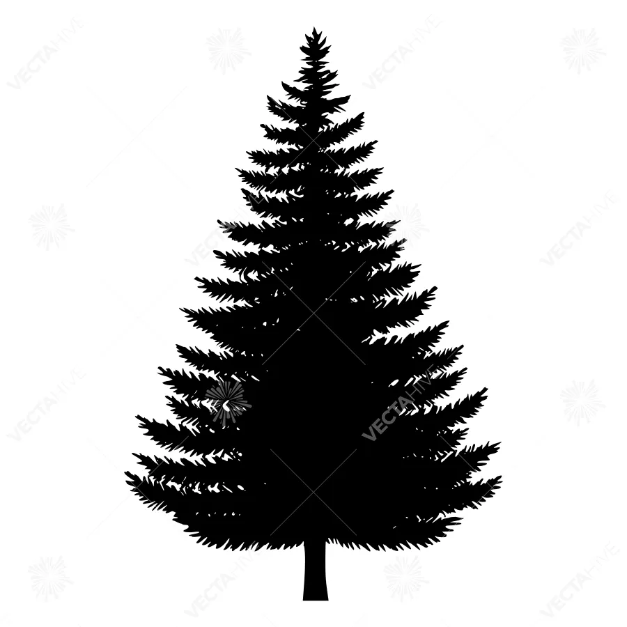 Black Pine Tree Silhouette